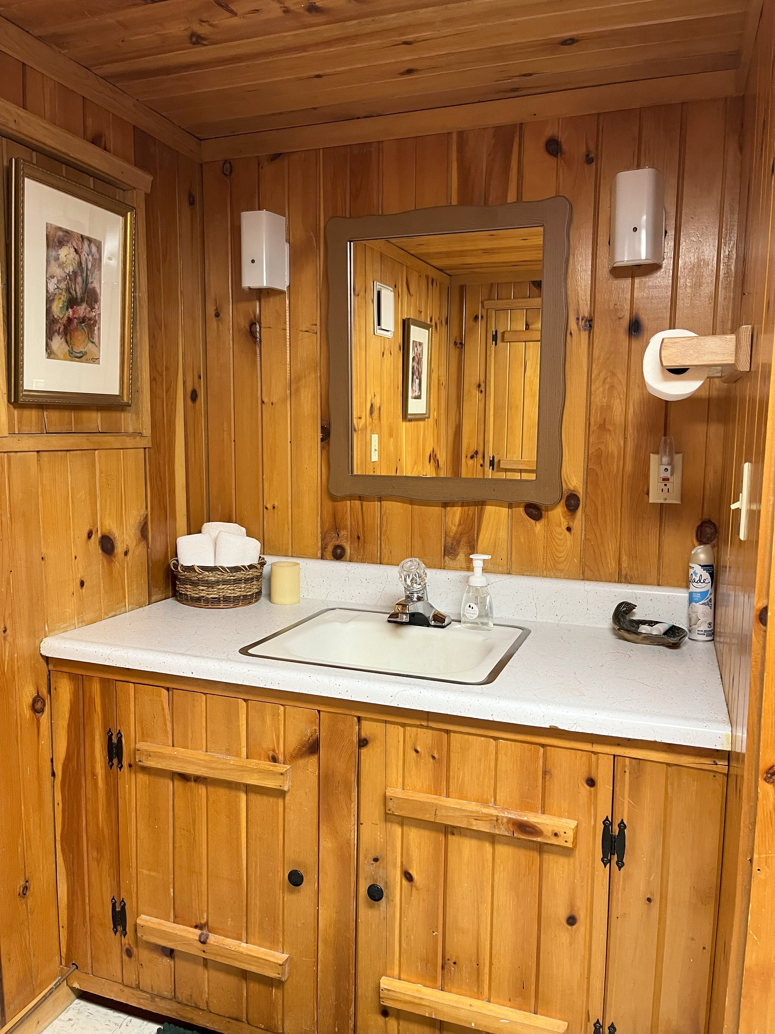 Cottage bathroom with knotty pine vanity